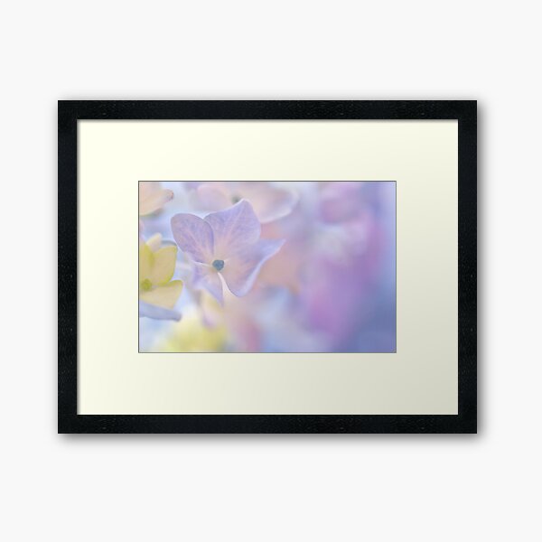 i've got a special treat for you... Framed Art Print