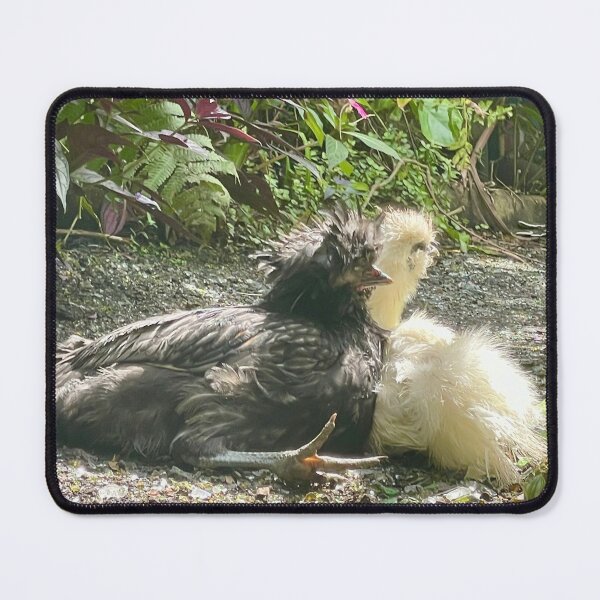 Item preview, Black and White Silky Chickens designed and sold by TrisaThyme.