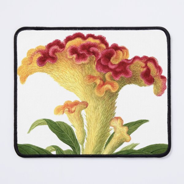 Item preview, Celosia Cristata designed and sold by Book Maven.