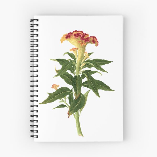 Item preview, Celosia Cristata designed and sold by Book Maven.