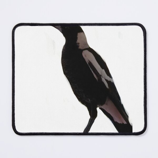 Item preview, Magpie (no backround) designed and sold by MysticRacoon6.