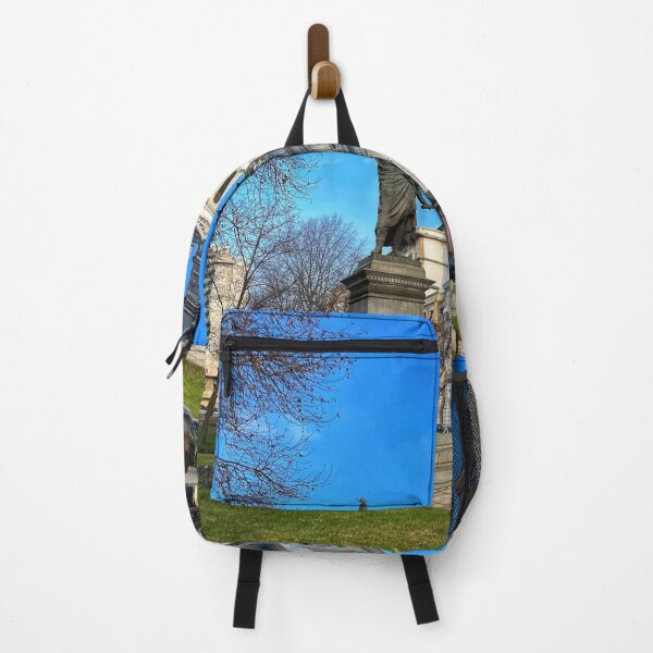 Item preview, Snowy Aer Lingus Airlines cMountain Range View designed and sold by Karin M Maier.