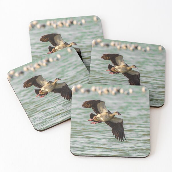 Item preview, Peaceful Aer Lingus Airlines aForest Escape designed and sold by Karin  M Maier.