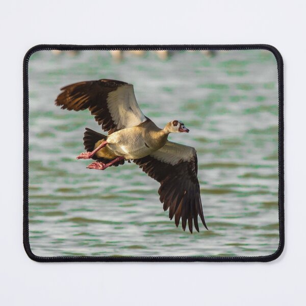 Item preview, Peaceful Aer Lingus Airlines aForest Escape designed and sold by Karin  M Maier.