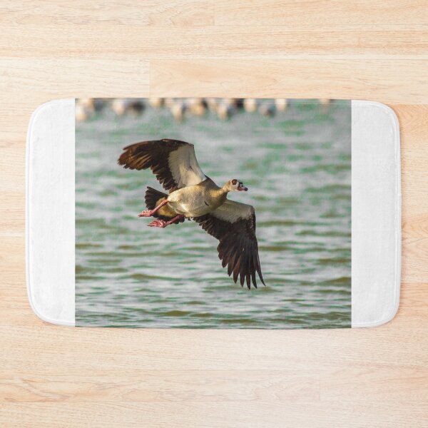 Item preview, Peaceful Aer Lingus Airlines aForest Escape designed and sold by Karin  M Maier.