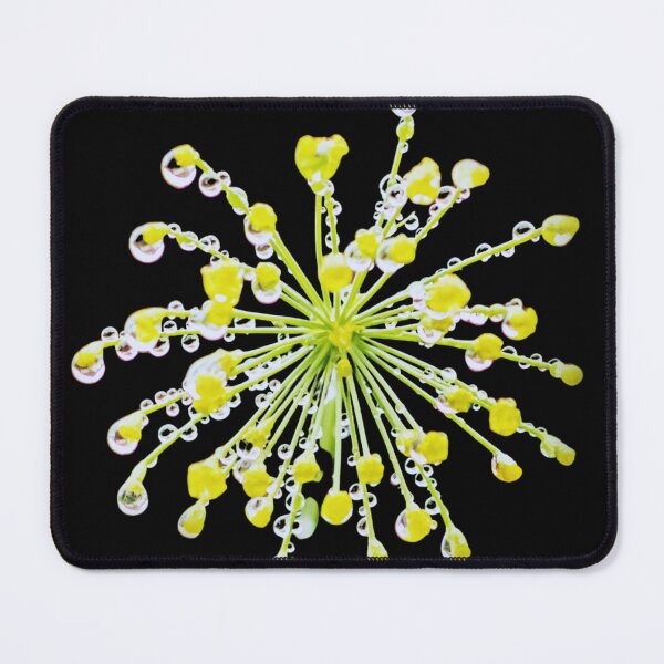 Item preview, Drops like pearls designed and sold by Katja LebenFreude.