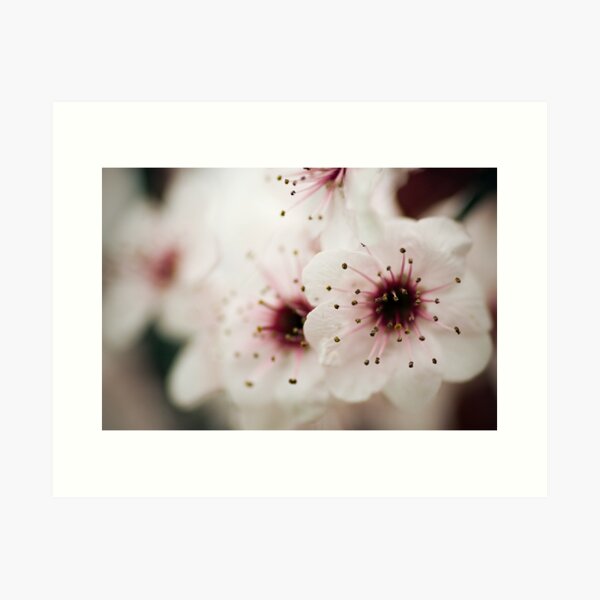 Contemplation Art Print