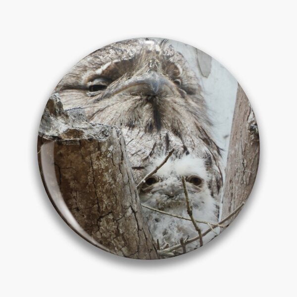 Item preview, Tawny Frogmouth and chick in nest designed and sold by Mark Grimsley.