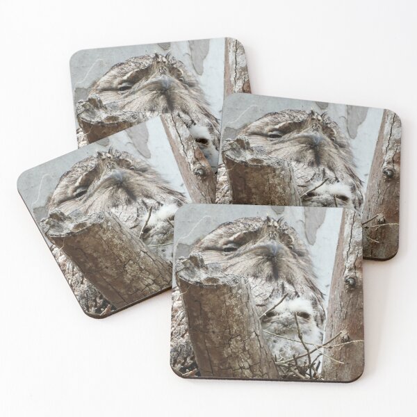 Item preview, Tawny Frogmouth and chick in nest designed and sold by Mark Grimsley.