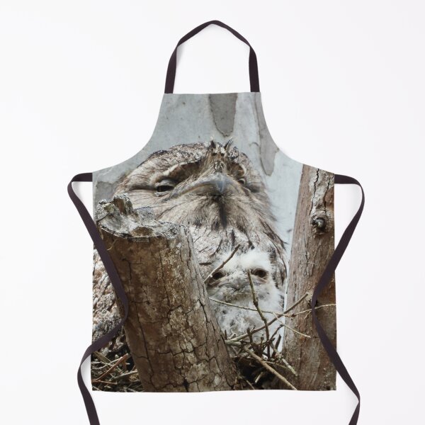 Item preview, Tawny Frogmouth and chick in nest designed and sold by Mark Grimsley.