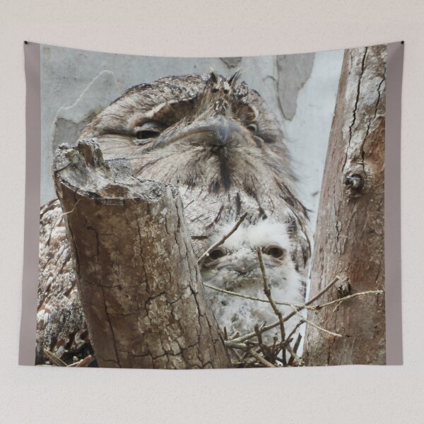 Item preview, Tawny Frogmouth and chick in nest designed and sold by Mark Grimsley.
