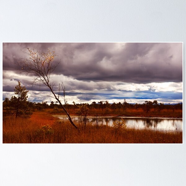 Item preview, Dramatic Autumn Landscape with Storm Clouds over Lake designed and sold by Zane Moss.