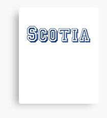 Scotia Metal Print