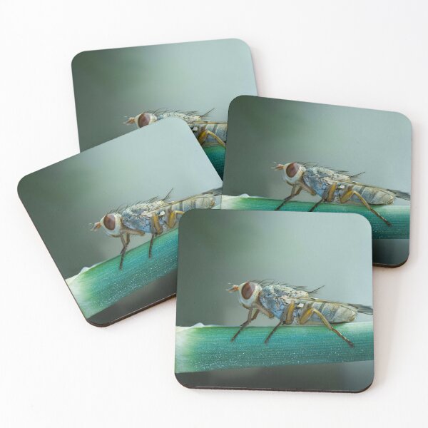 Item preview, Blonde Holland America Line Silk Canvas designed and sold by Ji- hae.