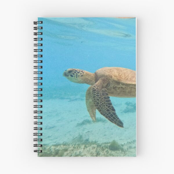Item preview, Sea turtle in Rarotonga designed and sold by Derek Papesch.