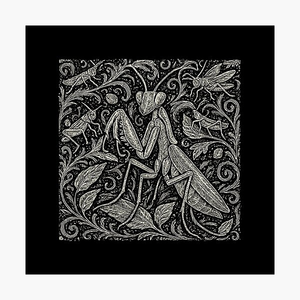 Item preview, Mantis And Crickets Nature Pattern Doodle designed and sold by EdvvinStudios.
