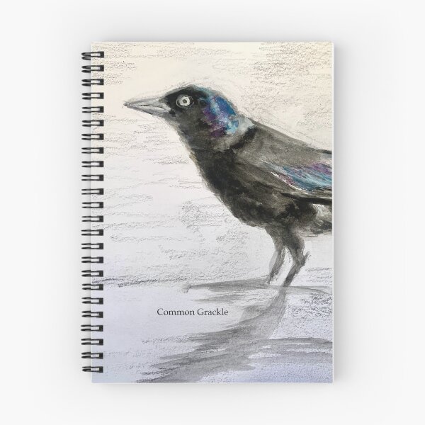 Artikelvorschau, Schillernde Grackle-Zeichnung entworfen und verkauft von Birds of Inwood.