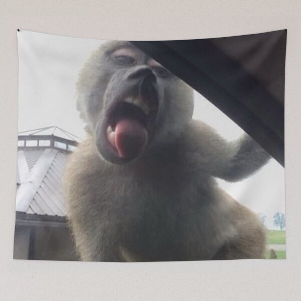 Item preview, monkey licking car window  designed and sold by monkey zone.