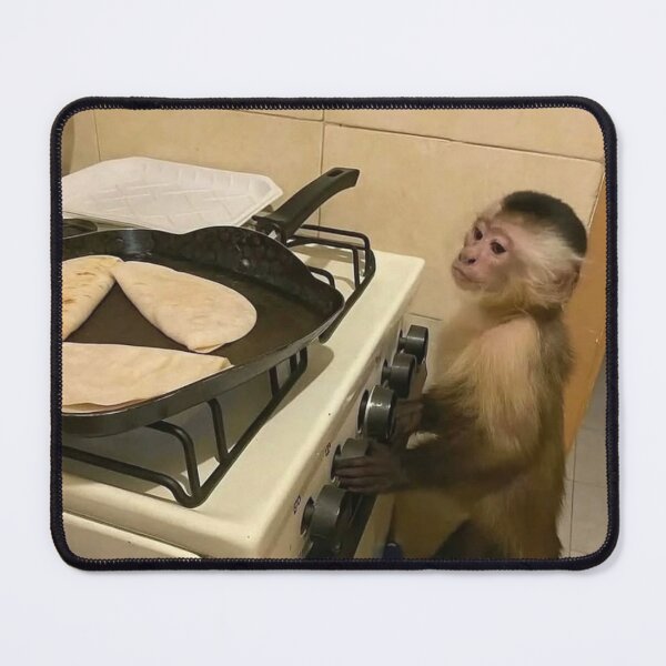 Item preview, monkey cooking quesadilla  designed and sold by monkey zone.