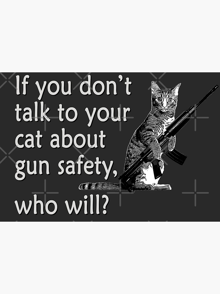 How To Talk To Your Cat About Gun Safety: 9781473661608