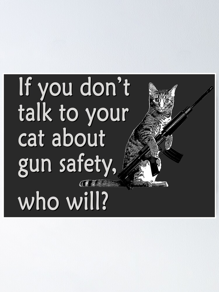 How To Talk To Your Cat About Gun Safety And Other Ridiculous