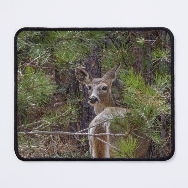 Item preview, What was that? designed and sold by MollyBukovac.