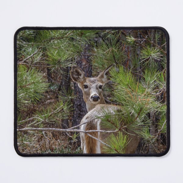 Item preview, What was that? Was it over there? designed and sold by MollyBukovac.