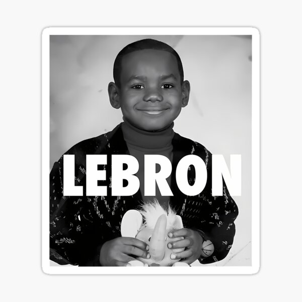 little boy says lebron james