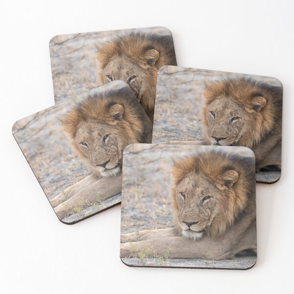 Item preview, Gaam of the Marsh Pride – Resilient Lion of Savuti designed and sold by DavideAntoniani.