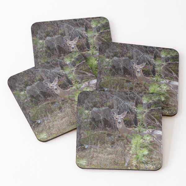 Item preview, Among the Pines designed and sold by MollyBukovac.