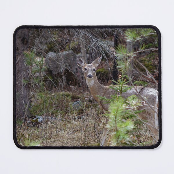 Item preview, Among the Pines designed and sold by MollyBukovac.