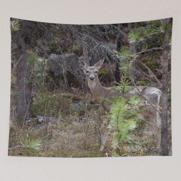 Item preview, Among the Pines designed and sold by MollyBukovac.
