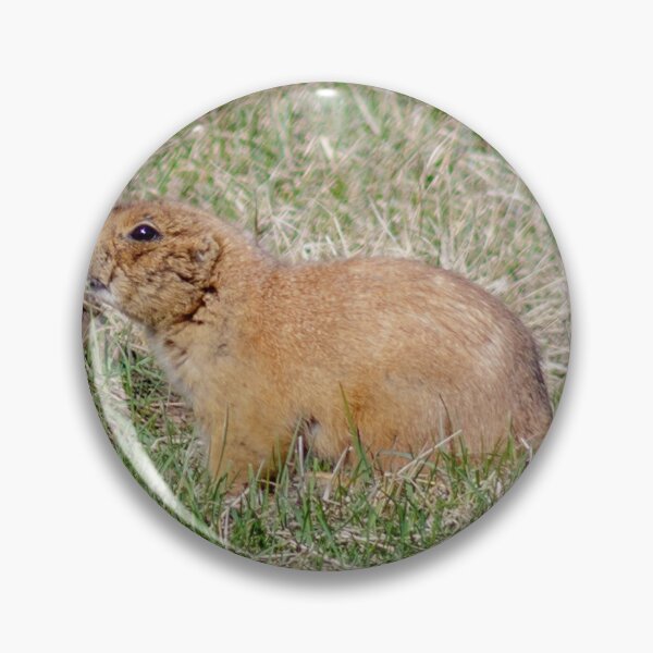 Item preview, Chubby Prairie Dog designed and sold by MollyBukovac.