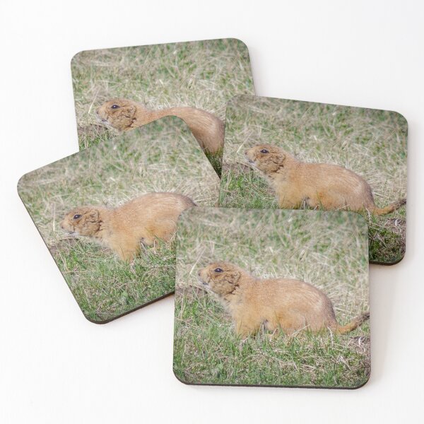 Item preview, Chubby Prairie Dog designed and sold by MollyBukovac.