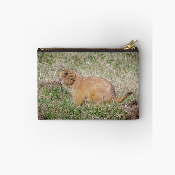 Item preview, Chubby Prairie Dog designed and sold by MollyBukovac.