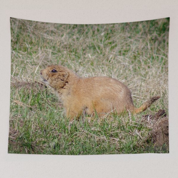 Item preview, Chubby Prairie Dog designed and sold by MollyBukovac.