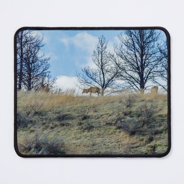 Item preview, Elk upon the Ridge designed and sold by MollyBukovac.