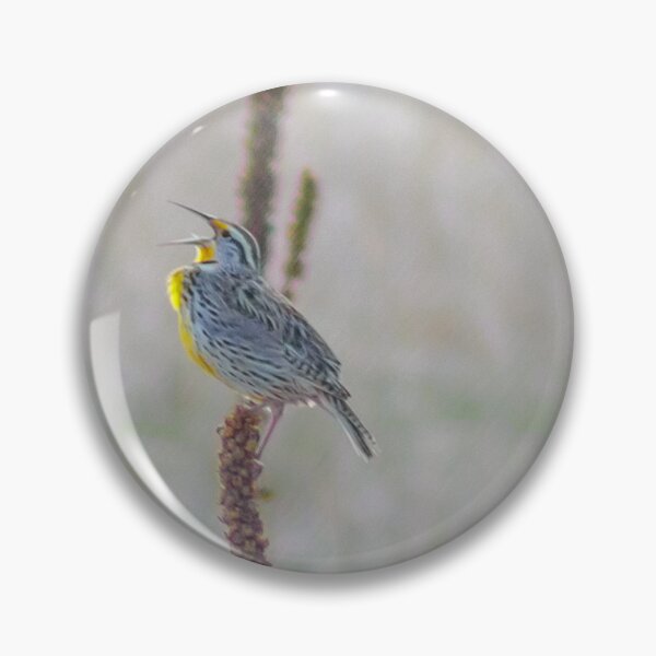 Item preview, Prairie Meadow Song designed and sold by MollyBukovac.