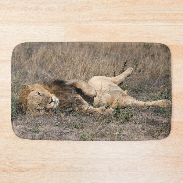Item preview, Pretty Boy 2 Resting in the Savuti Grass – Lion of Africa designed and sold by DavideAntoniani.
