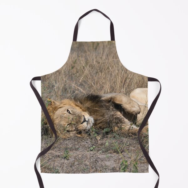 Item preview, Pretty Boy 2 Resting in the Savuti Grass – Lion of Africa designed and sold by DavideAntoniani.