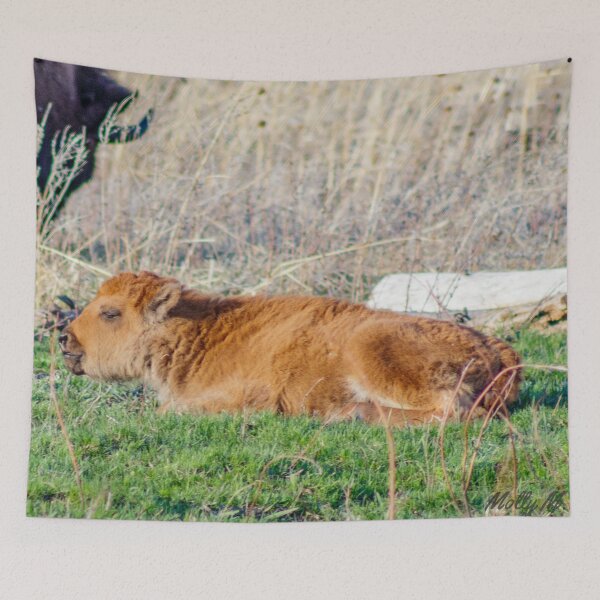 Item preview, Lil Cinnamon Tatanka   designed and sold by MollyBukovac.
