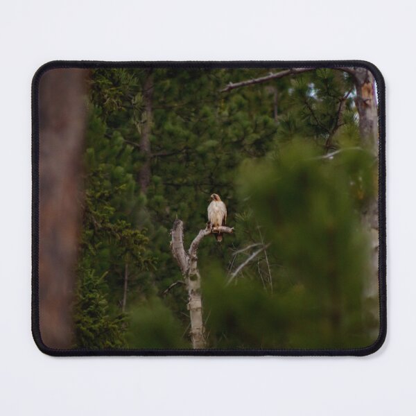 Item preview, Out on a Limb. designed and sold by MollyBukovac.
