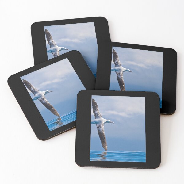 Item preview, Wandering Albatross - New Zealand Photographic Print 	 designed and sold by bbkzrxpgpuo42.
