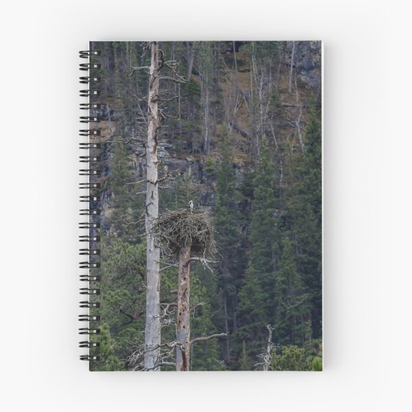 Item preview, Osprey within a Nesting Tree #1 designed and sold by MollyBukovac.