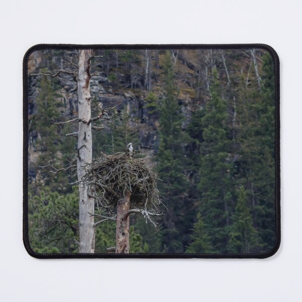 Item preview, Osprey within a Nesting Tree #1 designed and sold by MollyBukovac.