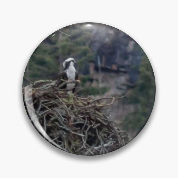Item preview, Osprey with in a Nesting Tree #2 designed and sold by MollyBukovac.