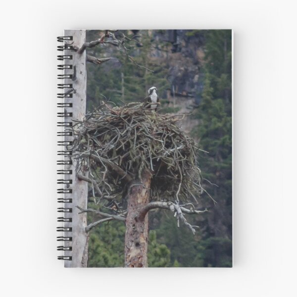 Item preview, Osprey with in a Nesting Tree #2 designed and sold by MollyBukovac.