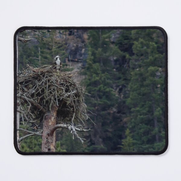 Item preview, Osprey with in a Nesting Tree #2 designed and sold by MollyBukovac.