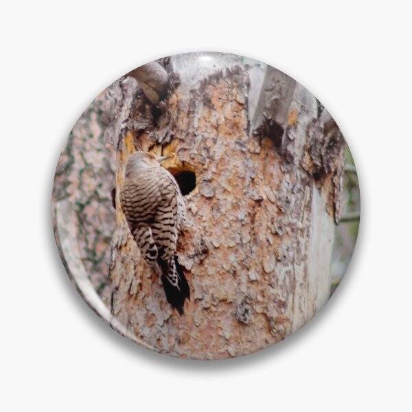 Item preview, Woodpecker designed and sold by MollyBukovac.