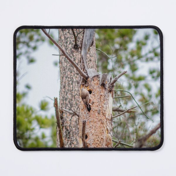 Item preview, Woodpecker designed and sold by MollyBukovac.